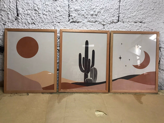 Setx3 Cuadros cactus,terracota y negro