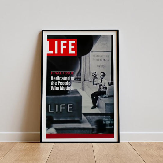 Cuadro Póster la película La vida secreta de Walter Mitty