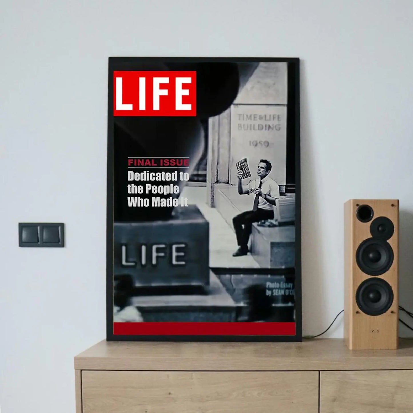 Cuadro Póster la película La vida secreta de Walter Mitty