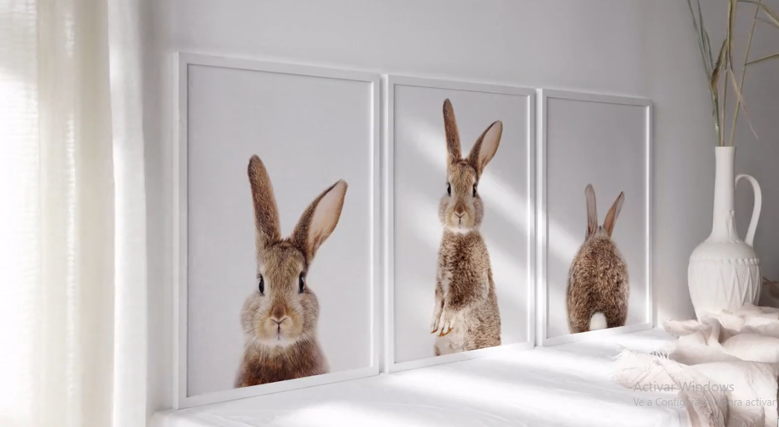 Setx3 Cuadros de  Conejos