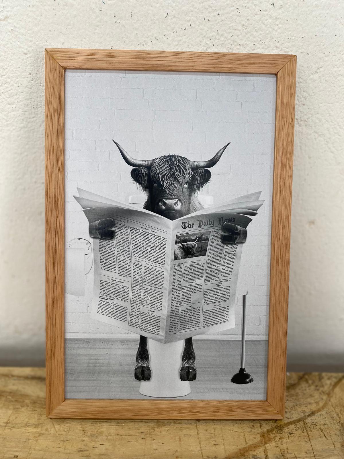 Cuadro Vaca Escocesa Humor del Baño