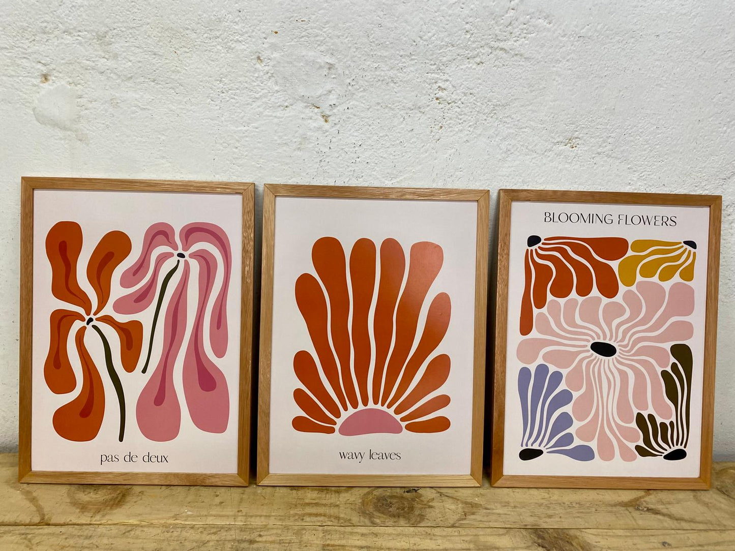 Set x3 Cuadros Blooming Flower