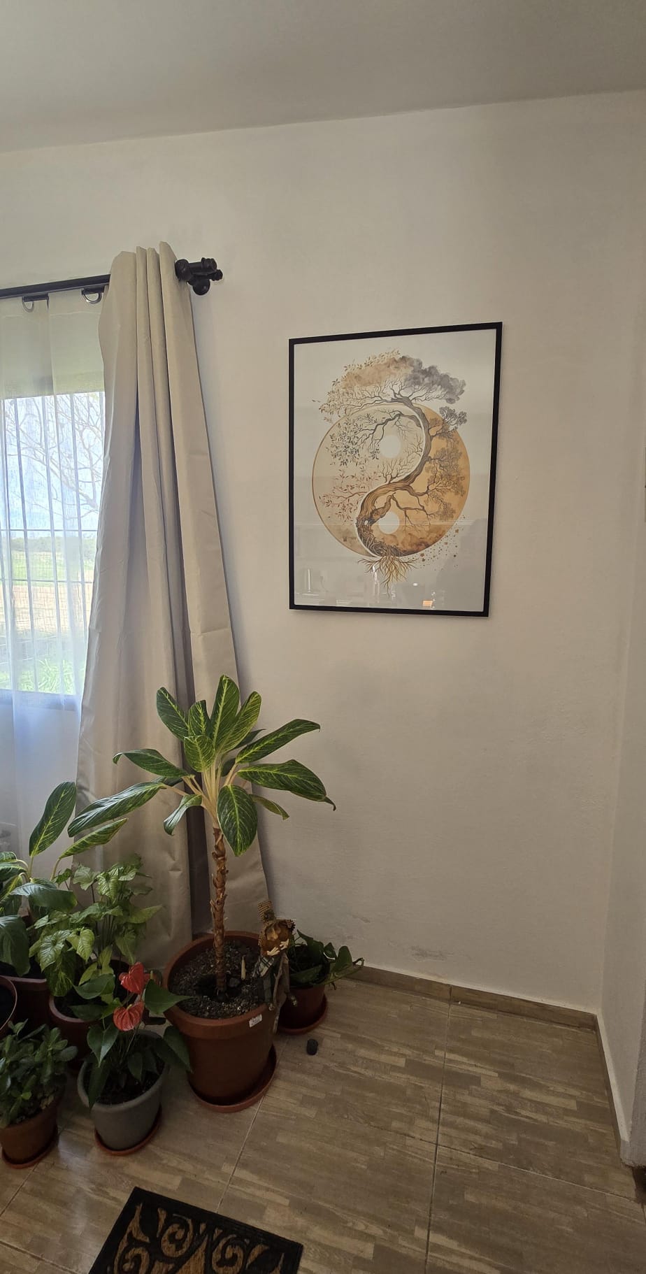 Cuadros de Alejandra T.