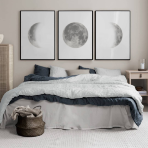 Setx3 Cuadros de Fase Lunar